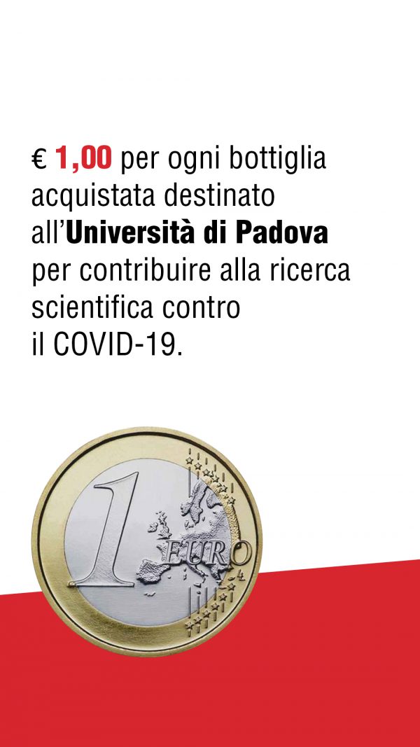 04_1080X1920-story raccolta fondi2